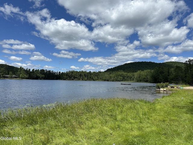 11 S Overlook Ln Unit A, Warrensburg, NY 12817 - photo 7