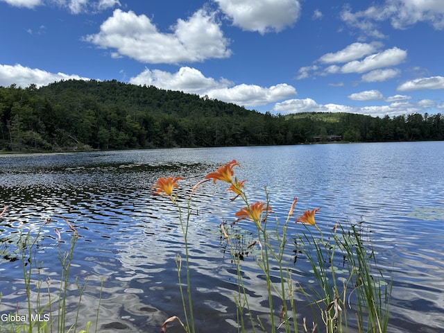 11 S Overlook Ln Unit A, Warrensburg, NY 12817 - photo 19