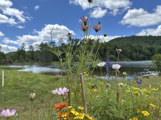 11 S Overlook Ln Unit A, Warrensburg, NY 12817 - photo 18