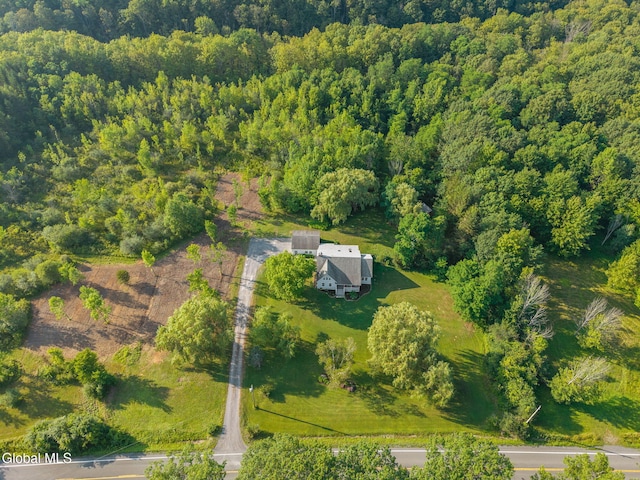 1542 Bozenkill Rd, Knox, NY 12053 - photo 53