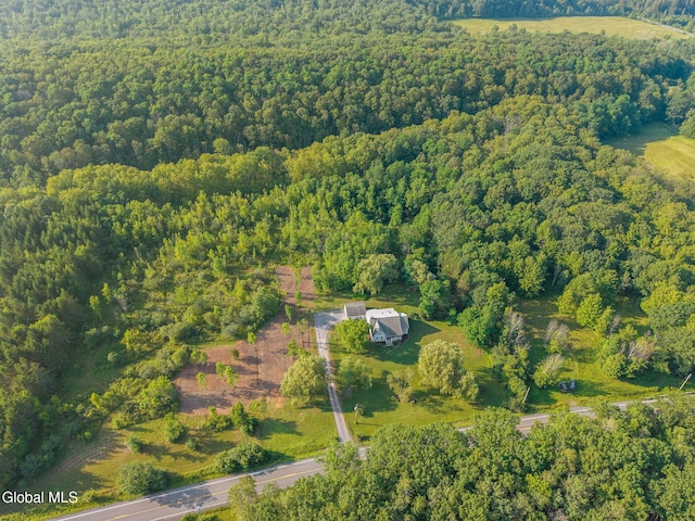 1542 Bozenkill Rd, Knox, NY 12053 - photo 54