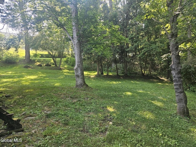 112 Rickard Rd, Middleburgh, NY 12157 - photo 22