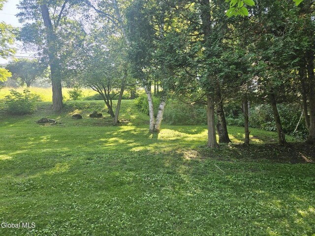112 Rickard Rd, Middleburgh, NY 12157 - photo 23