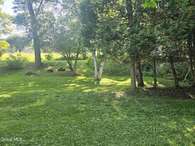 112 Rickard Rd, Middleburgh, NY 12157 - photo 24