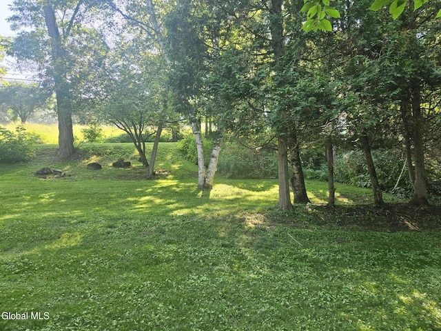 112 Rickard Rd, Middleburgh, NY 12157 - photo 25