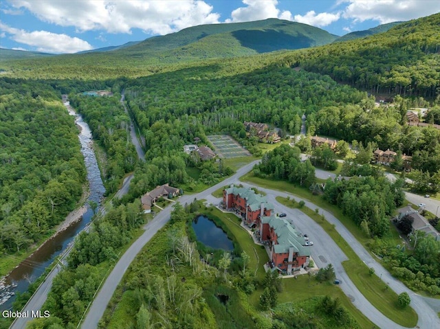 8 Trailside Dr Unit B10, Hunter, NY 12442 - photo 22