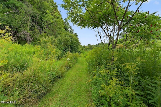 69 James Rd, Hebron, NY 12865 - photo 26