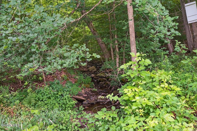 69 James Rd, Hebron, NY 12865 - photo 32