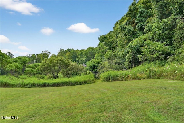 69 James Rd, Hebron, NY 12865 - photo 30