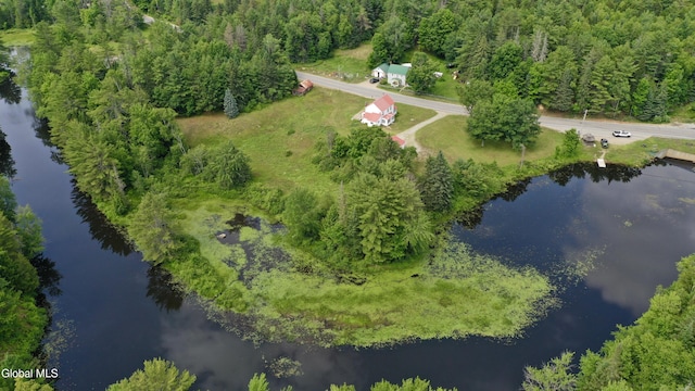 574 Morse Memorial, Minerva, NY 12857 - photo 1