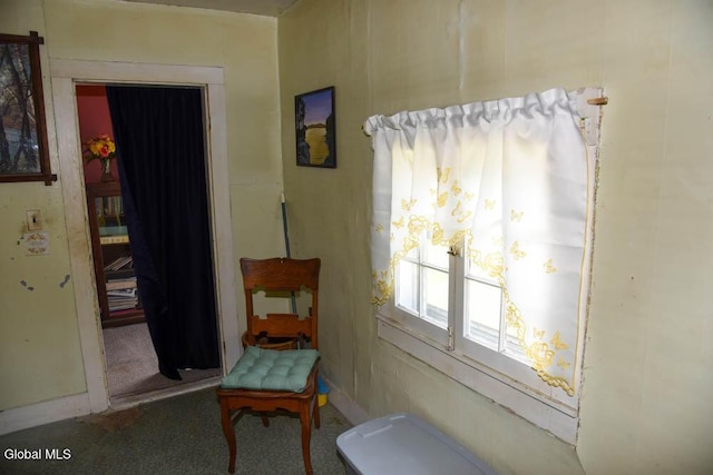 574 Morse Memorial, Minerva, NY 12857 - photo 28