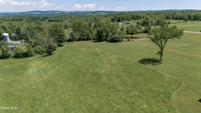 858 Logtown Rd, Glen, NY 12072 - photo 24
