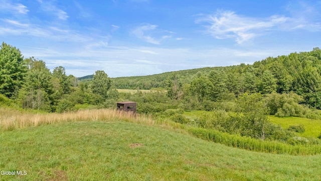 941 County Highway 40, Worcester, NY 12197 - photo 7