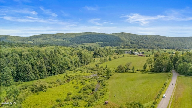 941 County Highway 40, Worcester, NY 12197 - photo 62
