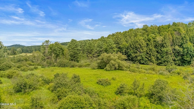 941 County Highway 40, Worcester, NY 12197 - photo 64