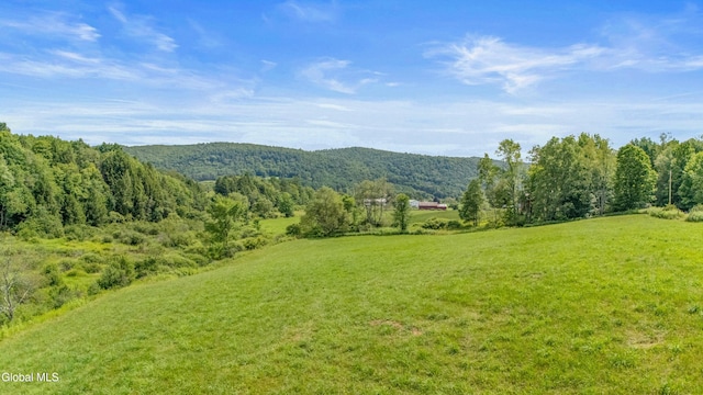941 County Highway 40, Worcester, NY 12197 - photo 65