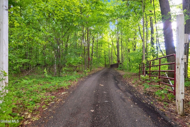 31 Safford Rd, Argyle, NY 12809 - photo 2