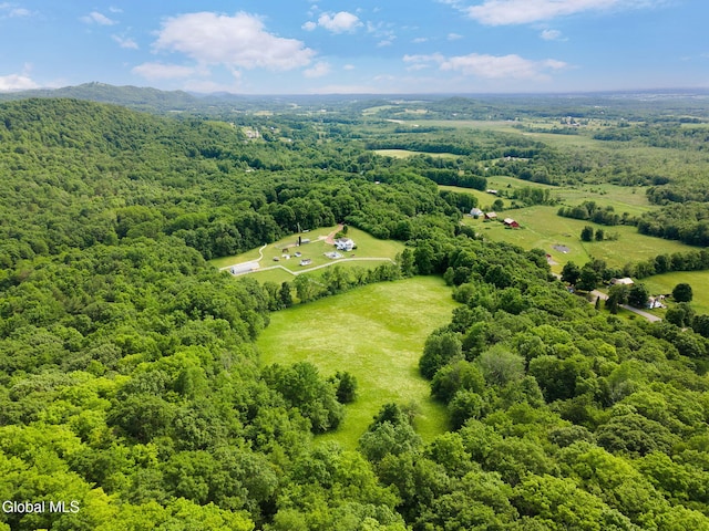 31 Safford Rd, Argyle, NY 12809 - photo 75