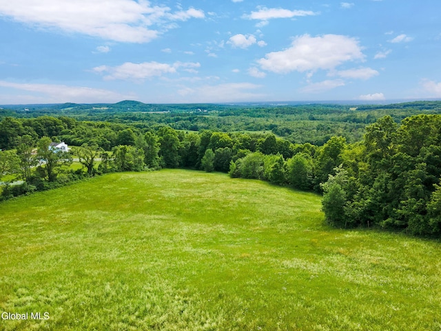 31 Safford Rd, Argyle, NY 12809 - photo 77