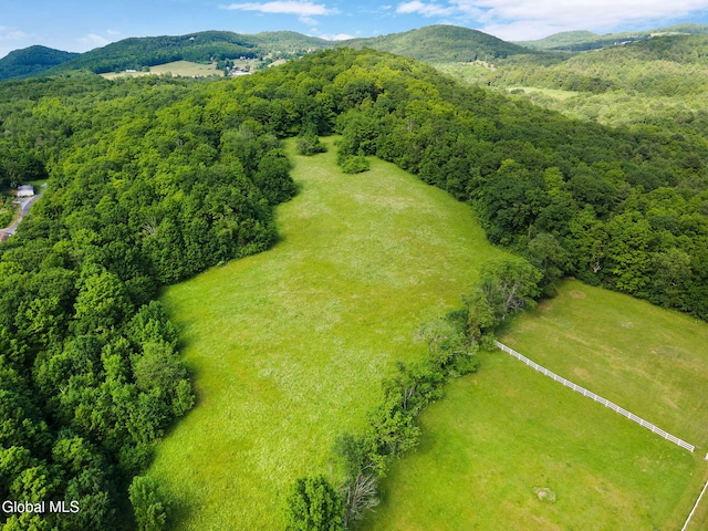 31 Safford Rd, Argyle, NY 12809 - photo 78
