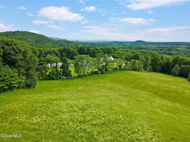 31 Safford Rd, Argyle, NY 12809 - photo 79