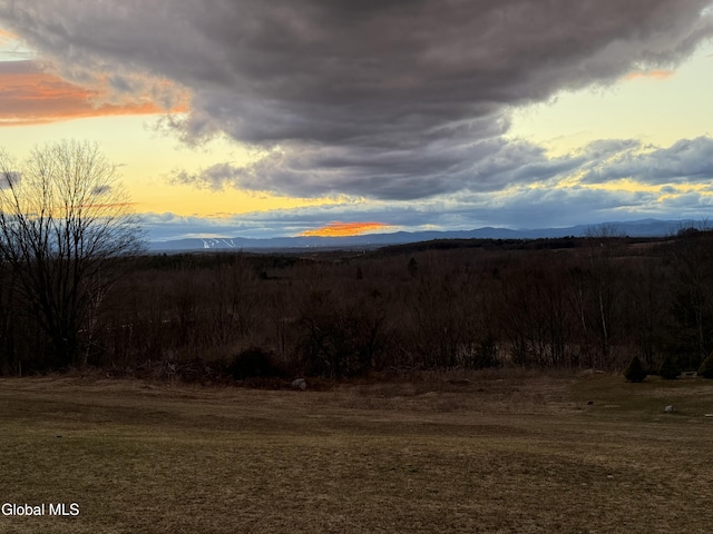 31 Safford Rd, Argyle, NY 12809 - photo 87