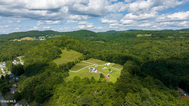 31 Safford Rd, Argyle, NY 12809 - photo 84