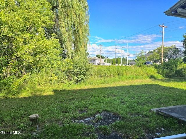 237 Bridge St, Bethlehem, NY 12158 - photo 10