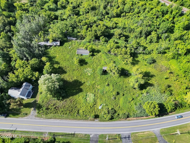 237 Bridge St, Bethlehem, NY 12158 - photo 19
