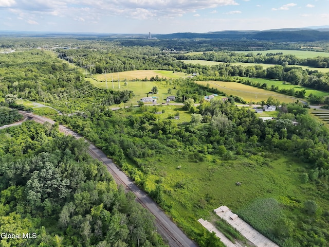 237 Bridge St, Bethlehem, NY 12158 - photo 27