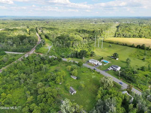 237 Bridge St, Bethlehem, NY 12158 - photo 29