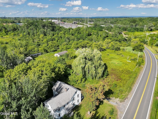 237 Bridge St, Bethlehem, NY 12158 - photo 18