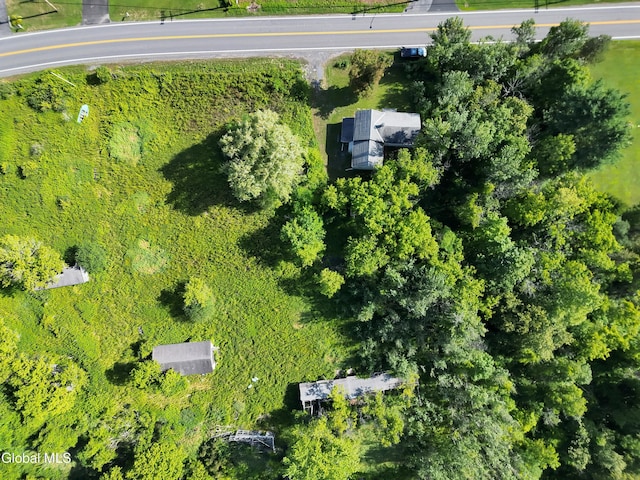 237 Bridge St, Bethlehem, NY 12158 - photo 25