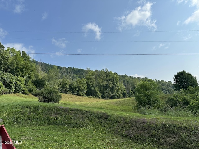 162 Chapman Rd, Fulton, NY 12071 - photo 17