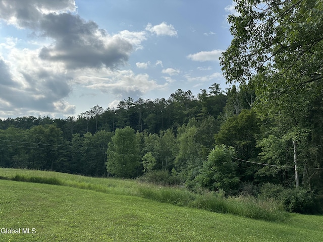162 Chapman Rd, Fulton, NY 12071 - photo 29