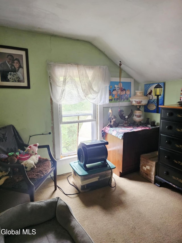 162 Chapman Rd, Fulton, NY 12071 - photo 14