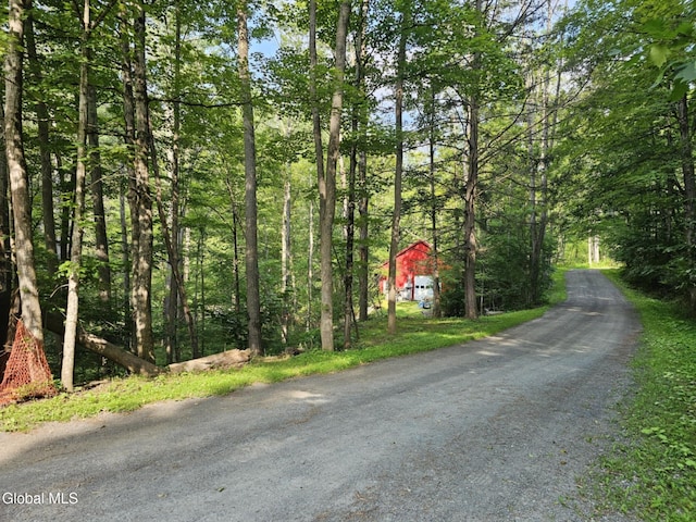 162 Chapman Rd, Fulton, NY 12071 - photo 26