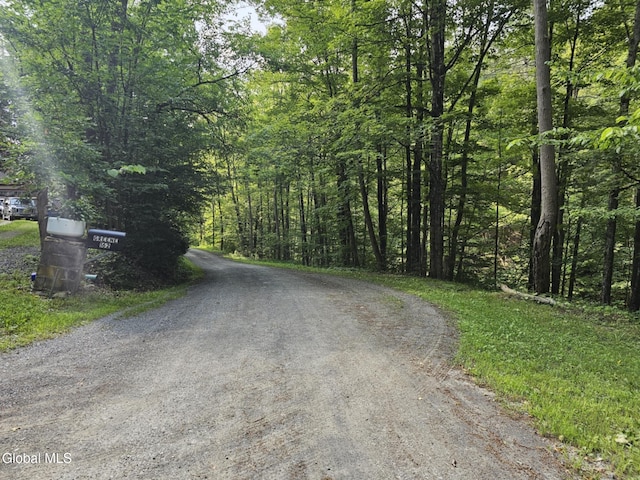 162 Chapman Rd, Fulton, NY 12071 - photo 28