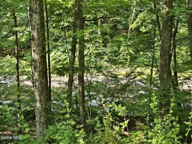 162 Chapman Rd, Fulton, NY 12071 - photo 27