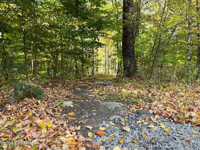 1941 Bay Rd, Lake George, NY 12845 - photo 53