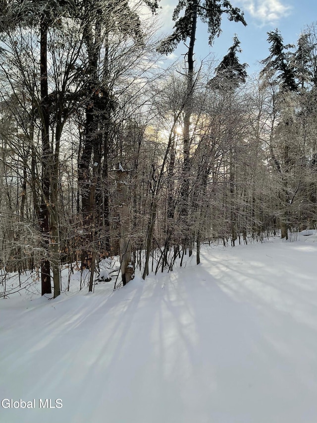 1941 Bay Rd, Lake George, NY 12845 - photo 58