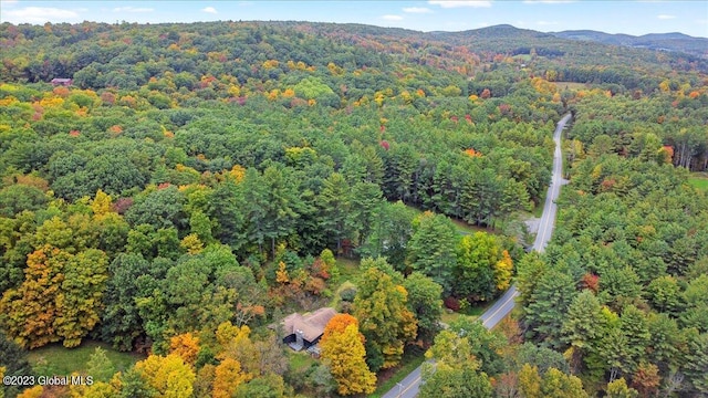 251 Turnpike Rd, Cambridge, NY 12816 - photo 34