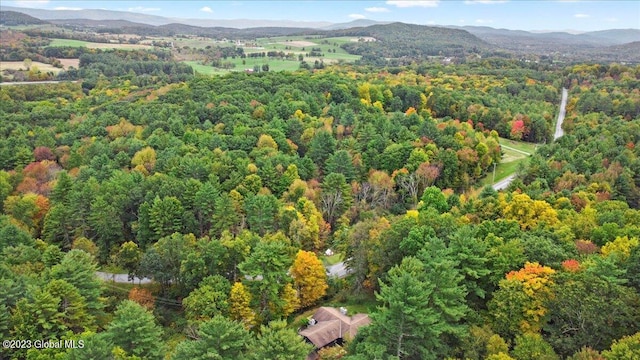 251 Turnpike Rd, Cambridge, NY 12816 - photo 35