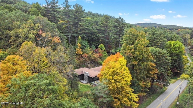 251 Turnpike Rd, Cambridge, NY 12816 - photo 32