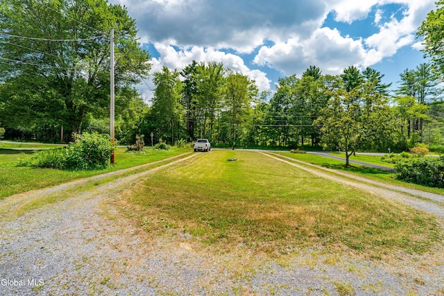 90 Unionville Feura Bush Rd, New Scotland, NY 12067 - photo 10