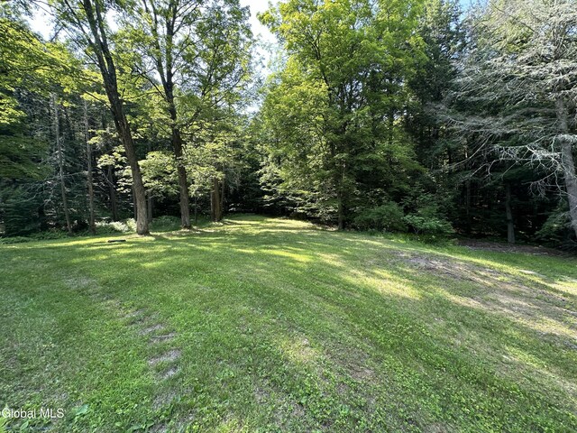 13 Taylor Woods Rd, Fort Ann, NY 12827 - photo 52
