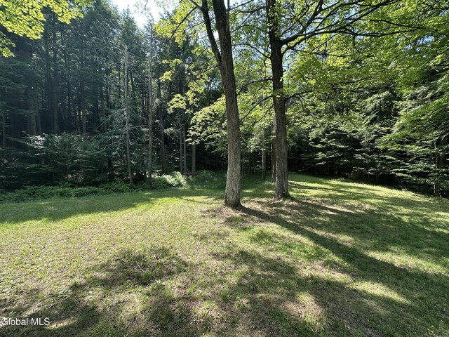 13 Taylor Woods Rd, Fort Ann, NY 12827 - photo 51