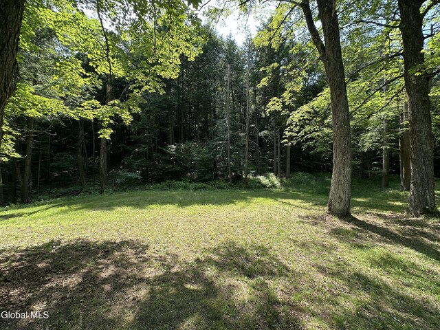 13 Taylor Woods Rd, Fort Ann, NY 12827 - photo 53
