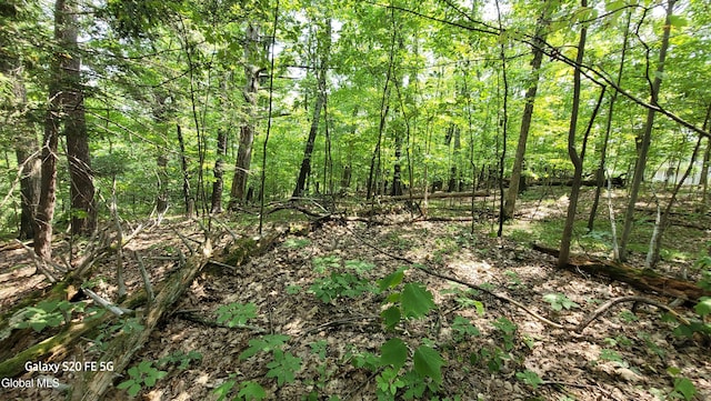 50 Finger Hill Rd, Saugerties, NY 12477 - photo 1