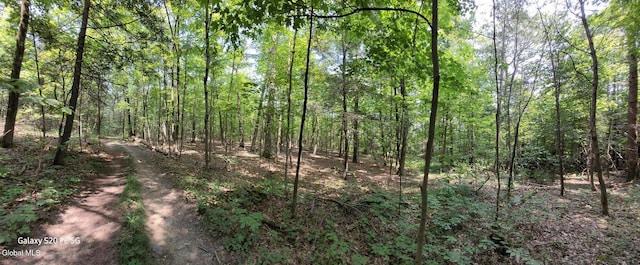 50 Finger Hill Rd, Saugerties, NY 12477 - photo 4